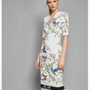 TED BAKER 'Evrely Highgrove' Hummingbird Branch Blossom Sheath Midi Dress Size 3